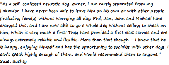 dog boarding testimony